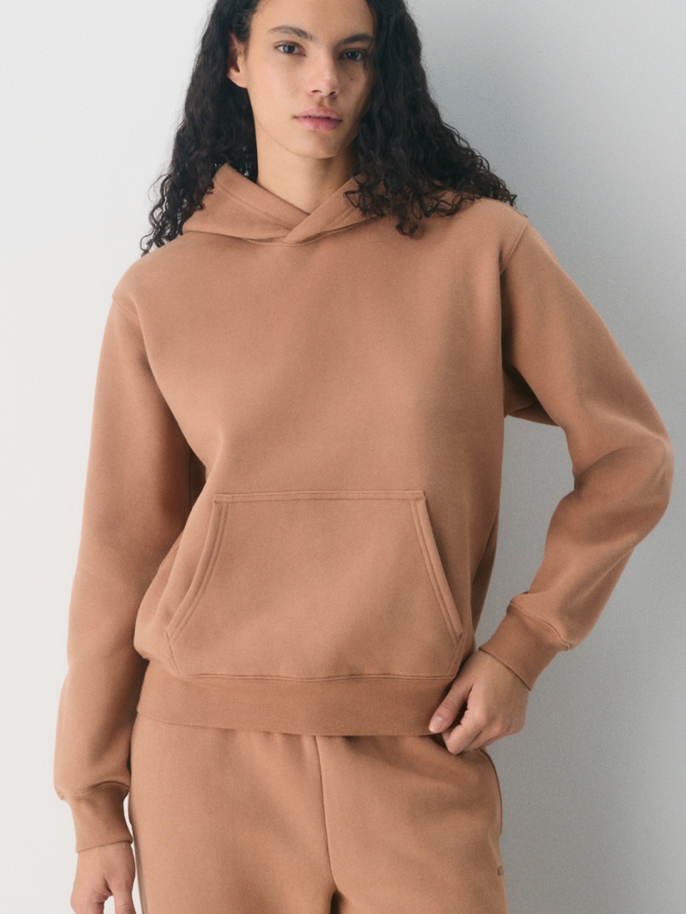 Aritzia Cozy Sweatfleece Perfect Hoodie Medium Chocolate Mousse NWT - Picture 3 of 8